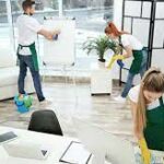 Ménage de logements professionnels à Lyon