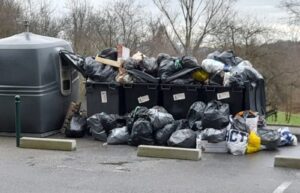 nuisibles locaux poubelles nuisibles locaux poubelles