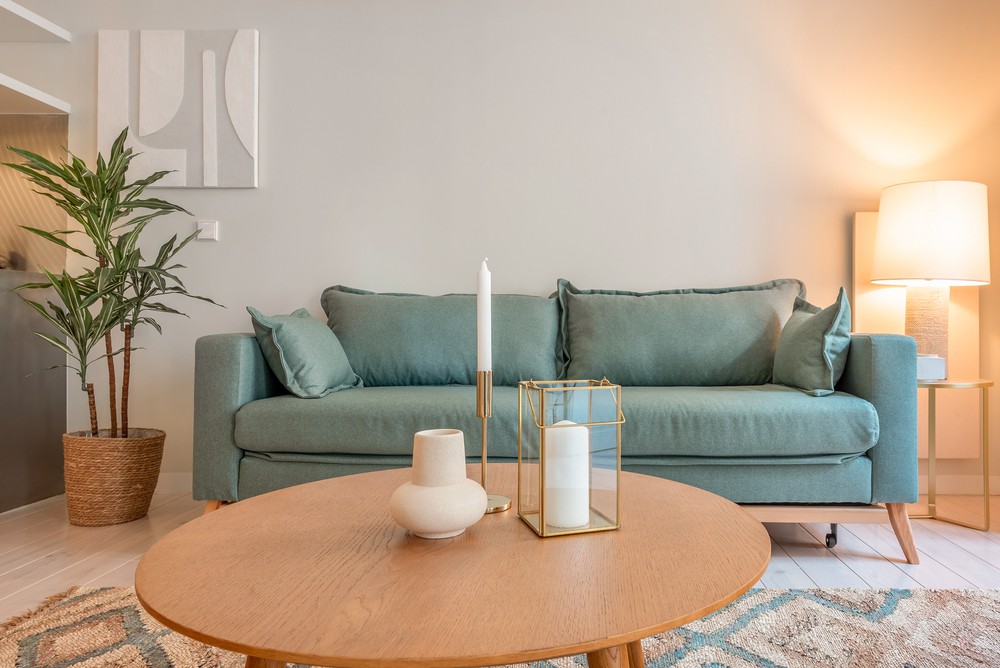 ménage Airbnb Lyon 1